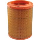FILTRON Luftfilter AR 252