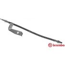 BREMBO Bremsschlauch T 24 096 ESSENTIAL LINE