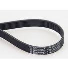 Continental CTAM Rillenriemen 7PK2035