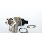 BorgWarner (Wahler) AGR-Ventil 710773D/1