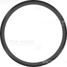 Wellendichtring Kurbelwelle VOLVO 81-33633-10