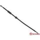 BREMBO Bremsschlauch T 06 036 ESSENTIAL LINE