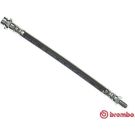 BREMBO Bremsschlauch T 24 037 ESSENTIAL LINE