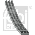FEBI BILSTEIN Rillenriemen 28745