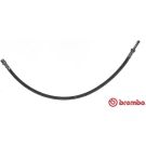 BREMBO Bremsschlauch T 50 056 ESSENTIAL LINE