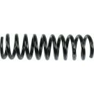 Sachs Fahrwerksfeder Db T. W124 996 132