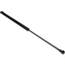 Gasfeder, Motorhaube 12-0049