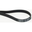 CONTINENTAL CTAM Keilrippenriemen 6PK1230