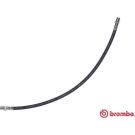 BREMBO Bremsschlauch T 50 037 ESSENTIAL LINE