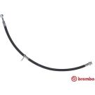BREMBO Bremsschlauch T 79 042 ESSENTIAL LINE