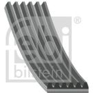 FEBI BILSTEIN Rillenriemen 28975