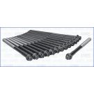Zylinderkopfschraubensatz 81004500