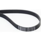 CONTINENTAL CTAM Keilrippenriemen 6PK1715