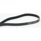 CONTINENTAL CTAM Keilrippenriemen 6PK1453