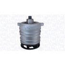 MAGNETI MARELLI Wasserpumpe 352316171197