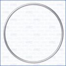 Dichtung, Abgasrohr 18008500