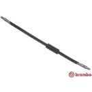 BREMBO Bremsschlauch T 24 047 ESSENTIAL LINE