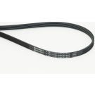 CONTINENTAL CTAM Keilrippenriemen 4PK1119 ELAST