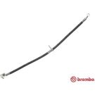 BREMBO Bremsschlauch T 28 121 ESSENTIAL LINE