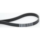 PASEK WIELOKLINOWY 6PK1613