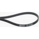 Continental CTAM Rillenriemen 4PK1170