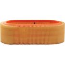 FILTRON Luftfilter AR 225