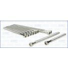 Zylinderkopfschraubensatz 81047700