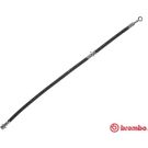 BREMBO Bremsschlauch T 56 151 ESSENTIAL LINE