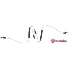 BREMBO Warnkontakt, Bremsbelagverschleiß A 00 385 PRIME LINE