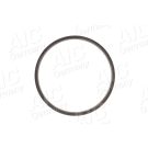 Sensorring ABS 55412
