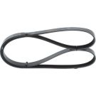 Keilrippenriemen PEUGEOT,OPEL,KIA,RENAULT 1987948389