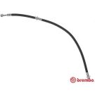 BREMBO Bremsschlauch T 56 150 ESSENTIAL LINE