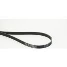 CONTINENTAL CTAM Keilrippenriemen 6PK1390 EXTRA