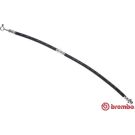 BREMBO Bremsschlauch T 56 173 ESSENTIAL LINE