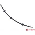 BREMBO Bremsschlauch T 23 044 ESSENTIAL LINE