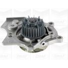 PA 1072 Wasserpumpe PA1072
