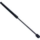 Gasfeder, Hinten L 500 450N AUDI A4 10/07 LIFT-O-MAT® 167573