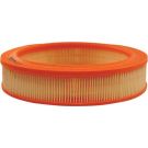 FILTRON Luftfilter AR 224
