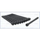 Zylinderkopfschraubensatz 81035800