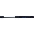 Gasfeder, Vorne L 264,5 355N 873790