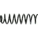Sachs Fahrwerksfeder Renault T. Megane Ii 02- Coupe 994 189