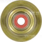 VICTOR REINZ Dichtring, Ventilschaft 70-34438-00