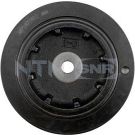 Riemenscheibe DPF355.09