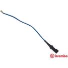 BREMBO Warnkontakt, Bremsbelagverschleiß A 00 501