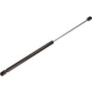 Gasfeder, Koffer-/Laderaum 12-0095