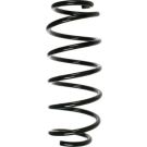 SPIDAN Fahrwerksfeder 48516