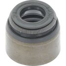 Dichtring, Ventilschaft 49472858