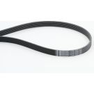CONTINENTAL CTAM Keilrippenriemen 6PK2490