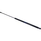 Gasfeder, Hinten L 648 260N 648416