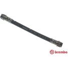 BREMBO Bremsschlauch T 61 124 ESSENTIAL LINE